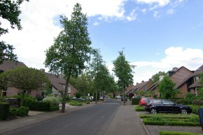 Strausslaan 98