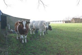 Volenbekerweg nabij 16